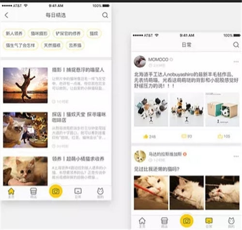 云养猫app官方下载