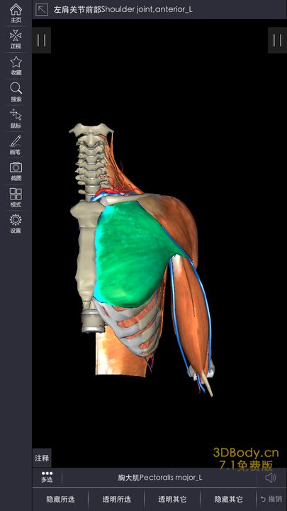 3Dbody解剖手機版下載,官方正版app下載安裝