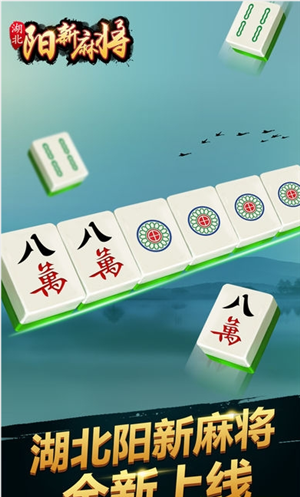 阳新癞子麻将