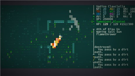 Caves of Qud ios版游戏截图2