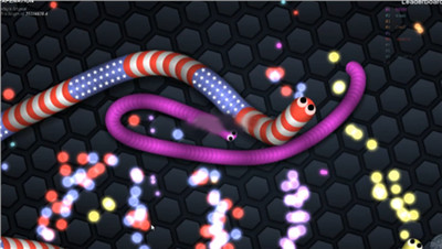 slither.io ios版游戏截图2