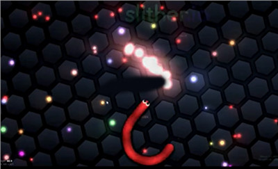 slither.io ios版游戏截图3