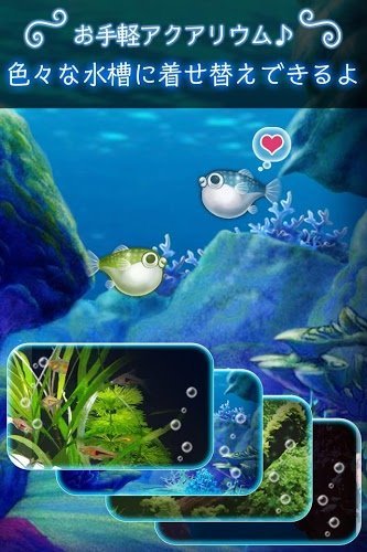 我的河豚鱼水族馆安卓版游戏截图1