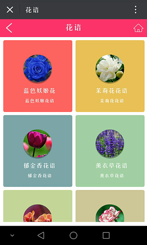 幸福花缘花卉游戏截图4