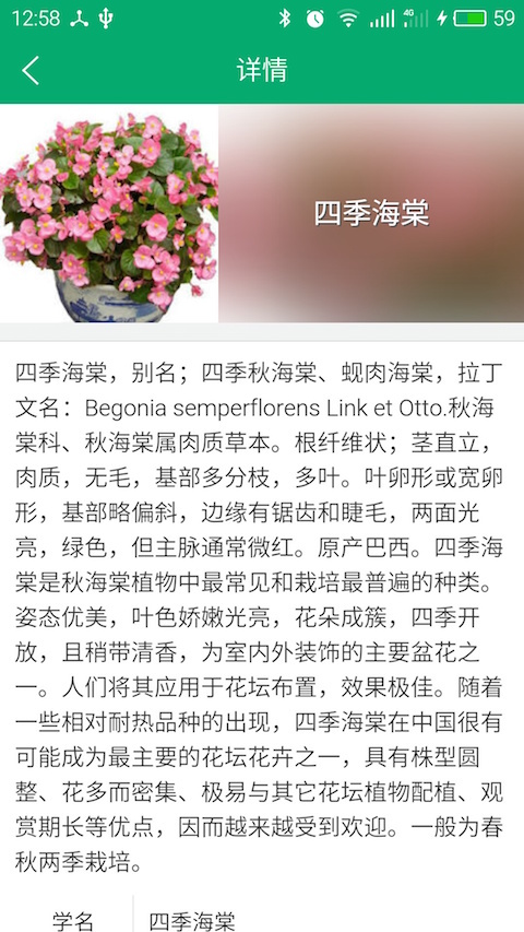 花幫主游戲截圖3