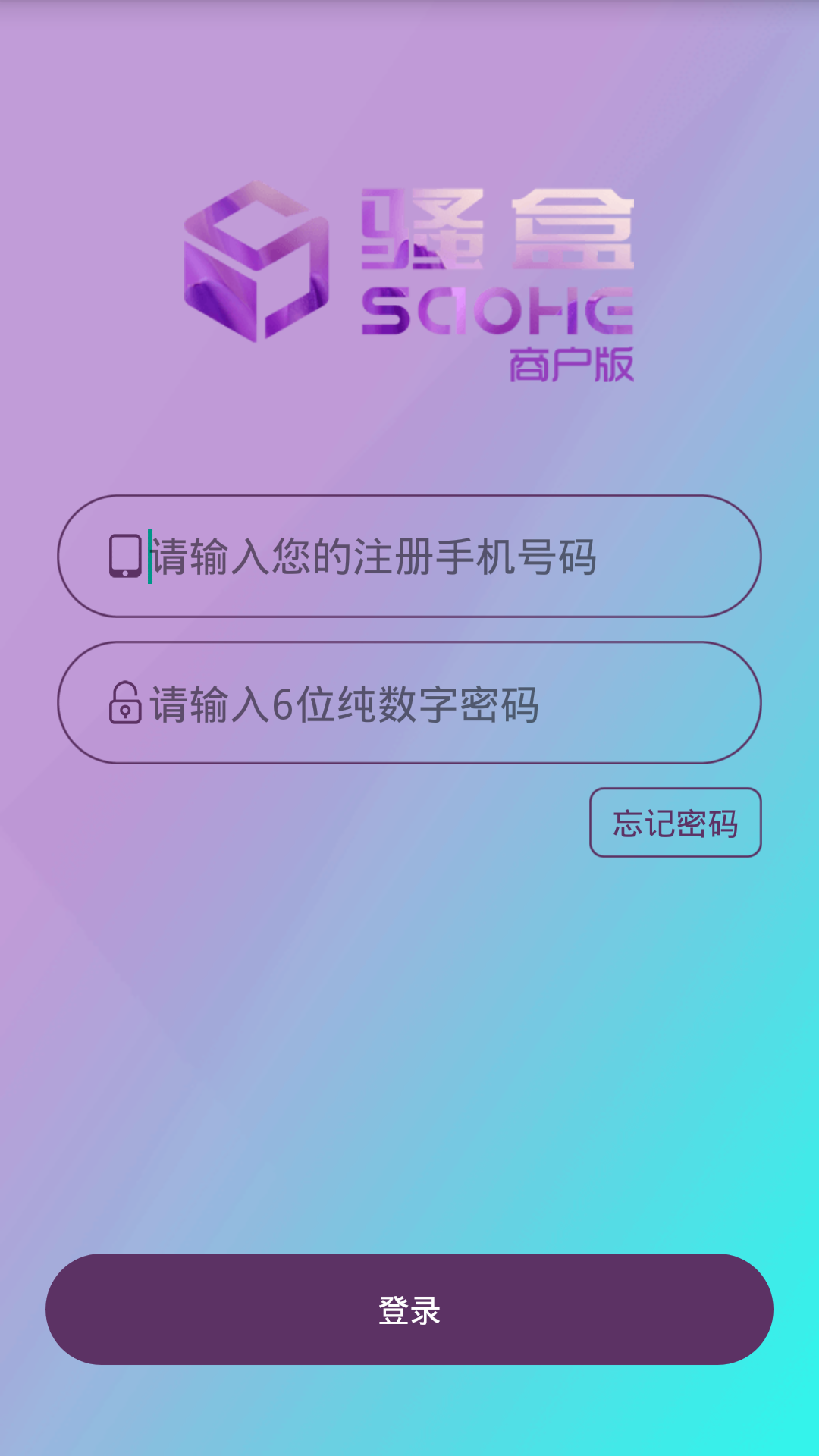 骚盒商户版游戏截图1