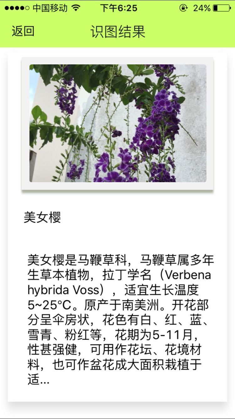 花小白游戏截图10