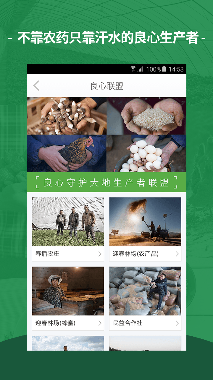 春播游戏截图18