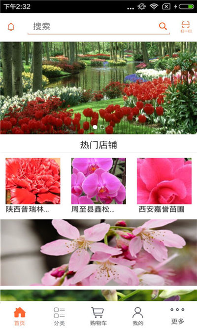 西北花卉游戏截图4