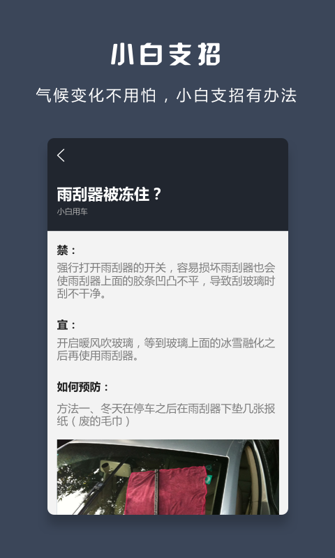 小白用车游戏截图4