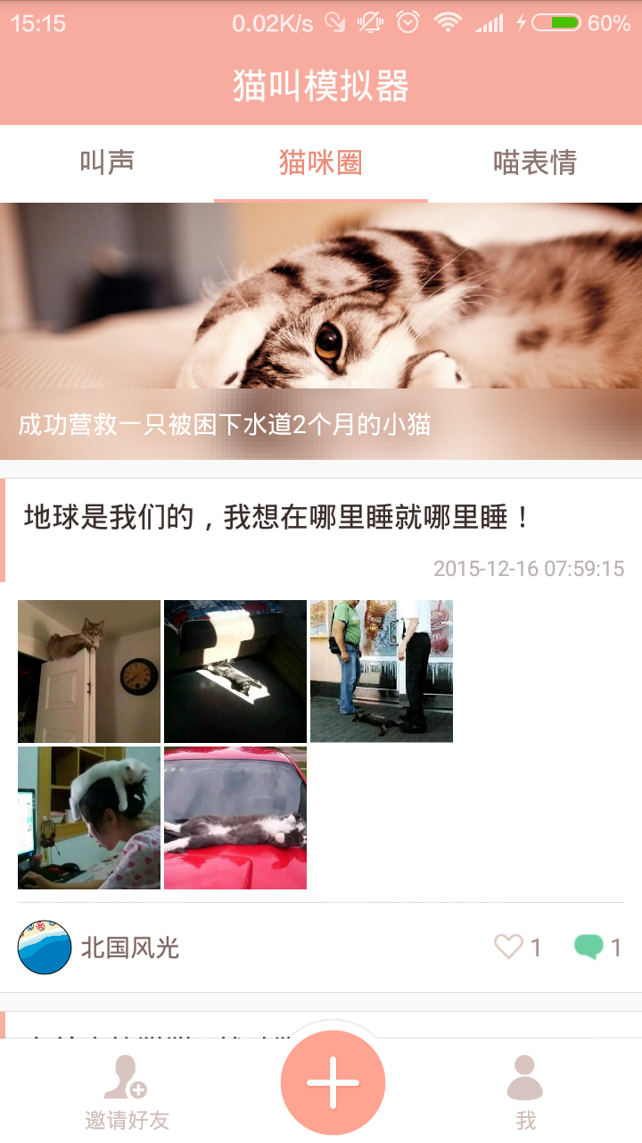 猫叫模拟器游戏截图3