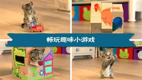 我最喜爱的猫猫ios版游戏截图3