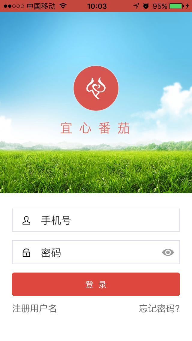 宜心番茄手机版游戏截图5