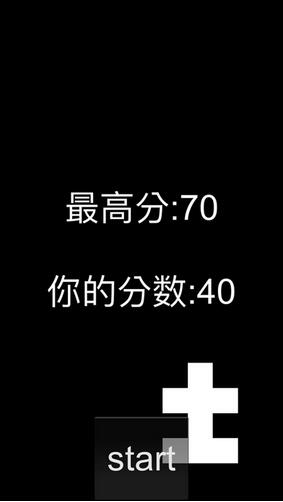 黑白赛车游戏截图3