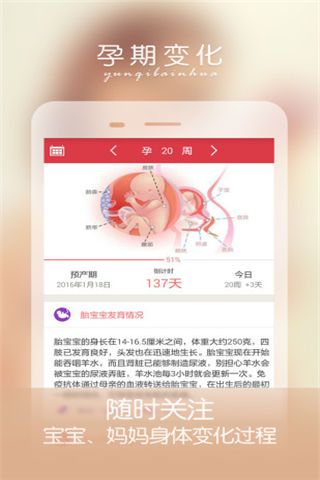 孕妇伴侣最新版游戏截图1