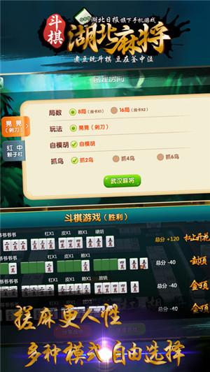 斗棋咸宁麻将游戏截图2