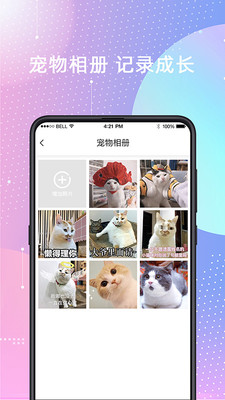 宠物猫狗交流器游戏截图2