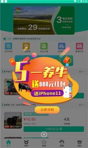 奈枫牧场游戏截图3