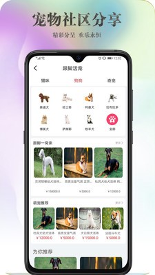 跟脚网游戏截图1