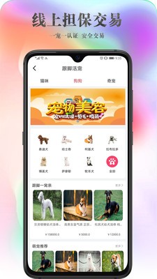 跟脚网游戏截图4