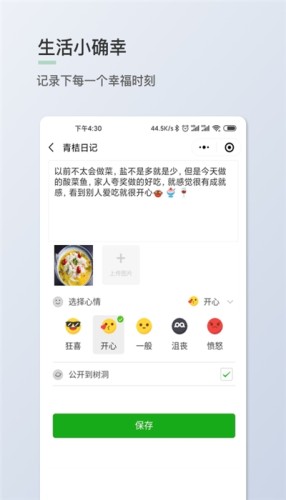 青桔日记游戏截图1