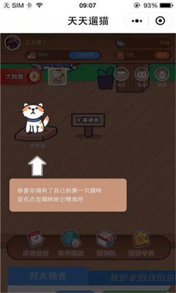 天天遛猫游戏截图2