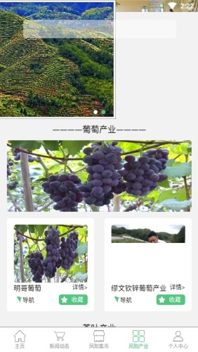 最美鳳陽(yáng)Vineyard游戲截圖3