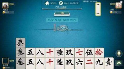 土豪金跑胡子游戏截图2