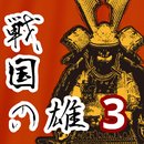 战国之雄3汉化版