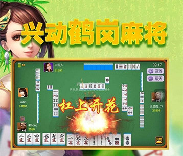 鹤岗麻将